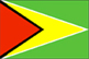 Flag of Guyana